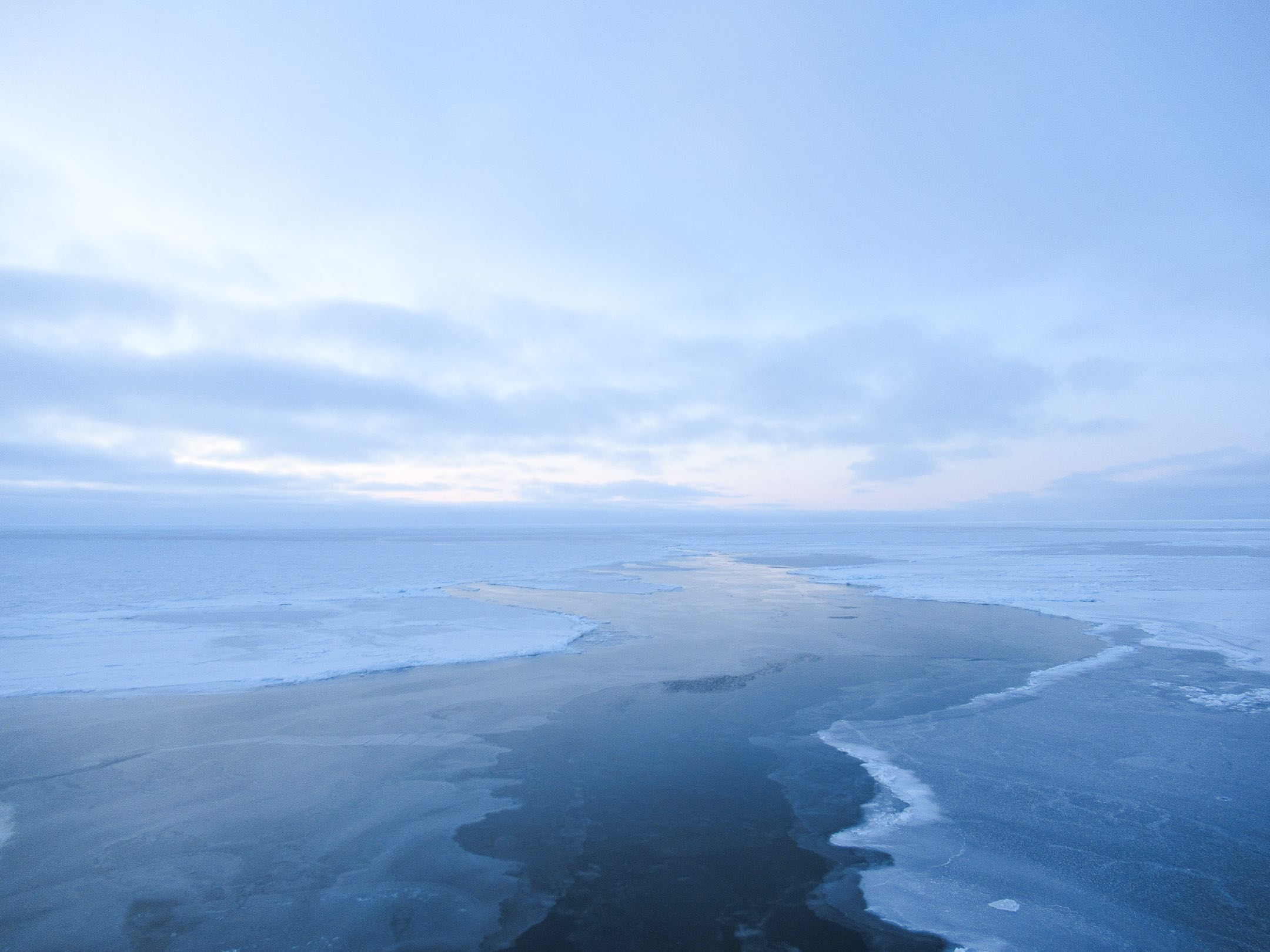 Arctic sea ice